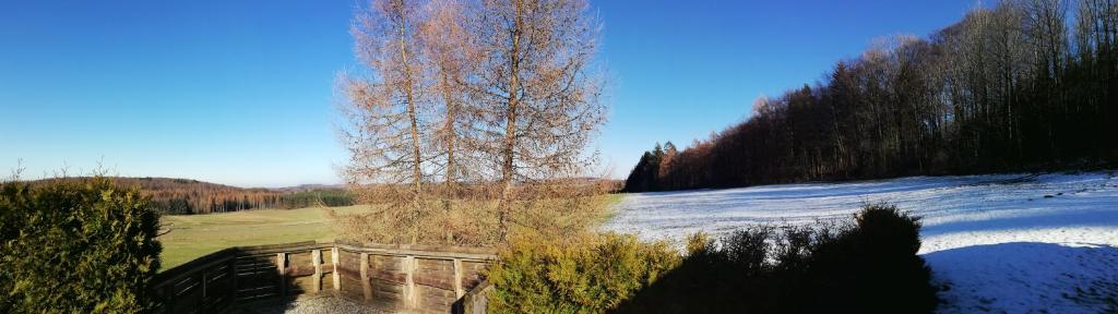 Ferienhaus mit Ausblick room 1